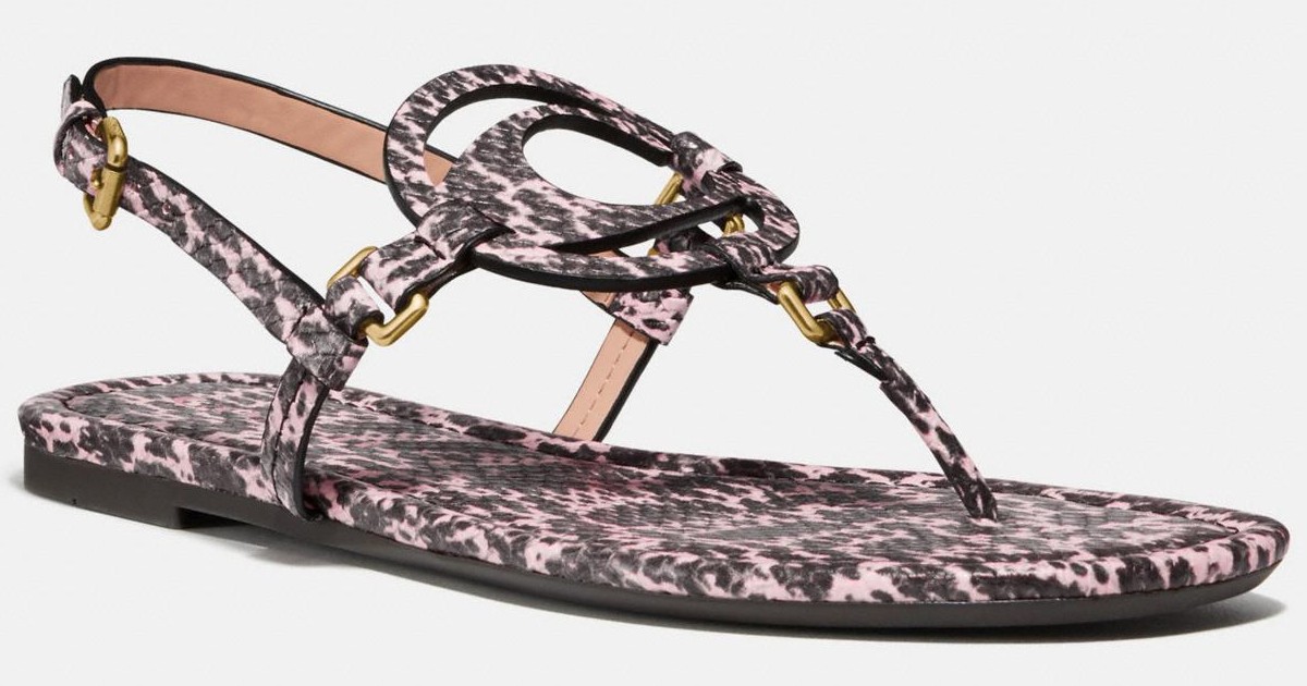 Coach Jeri Sandals