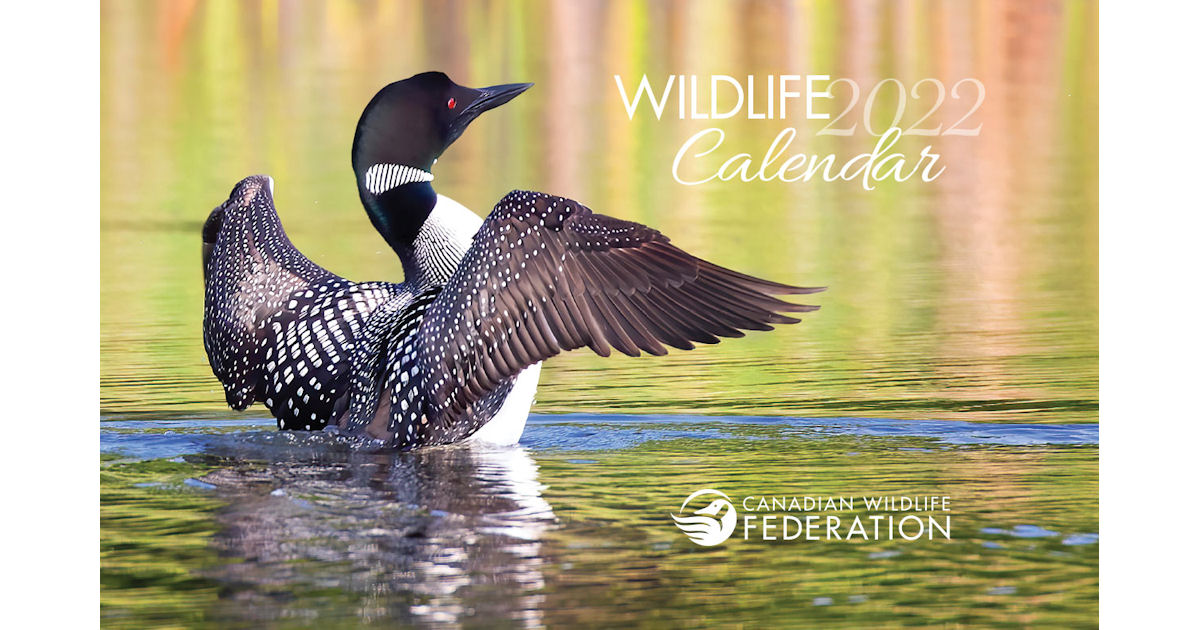 Canada Wildlife Federation Calendar