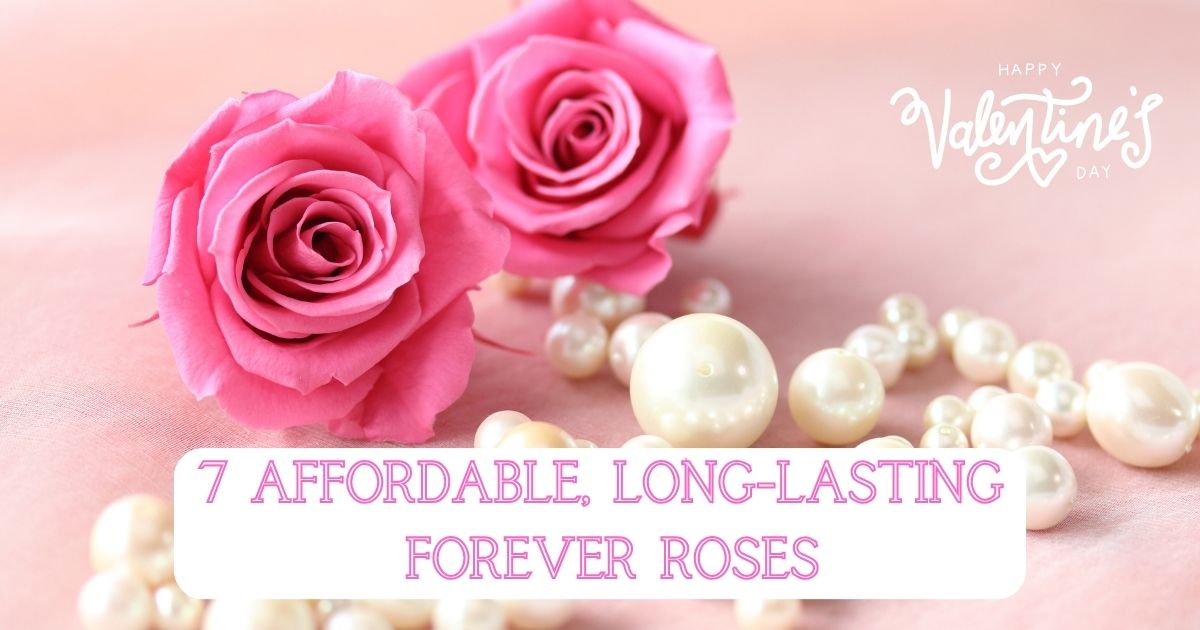 affordable long-lasting forever roses